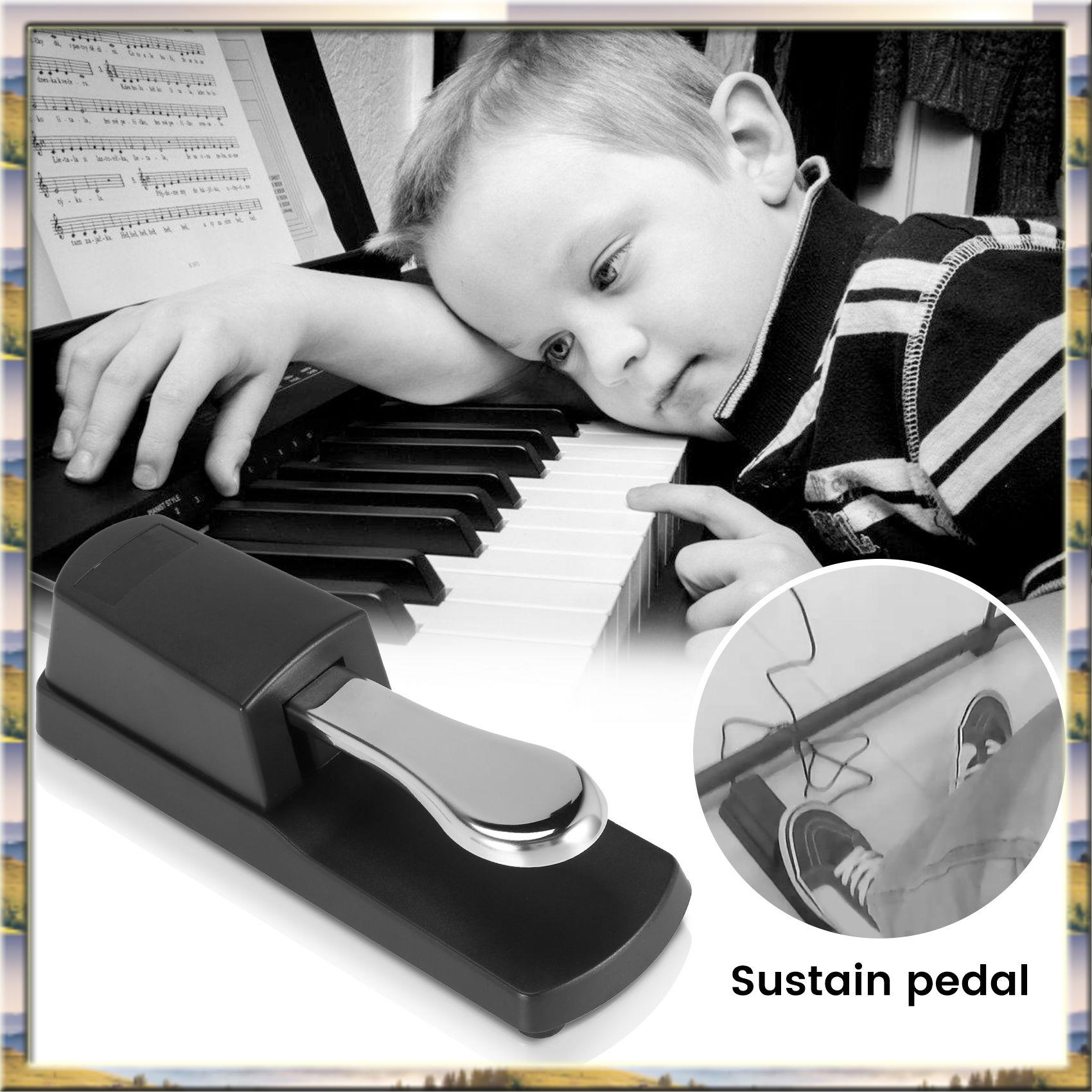 Y30A Upgrade Sustain Damper Pe - Piano Sustain Pedal review and price